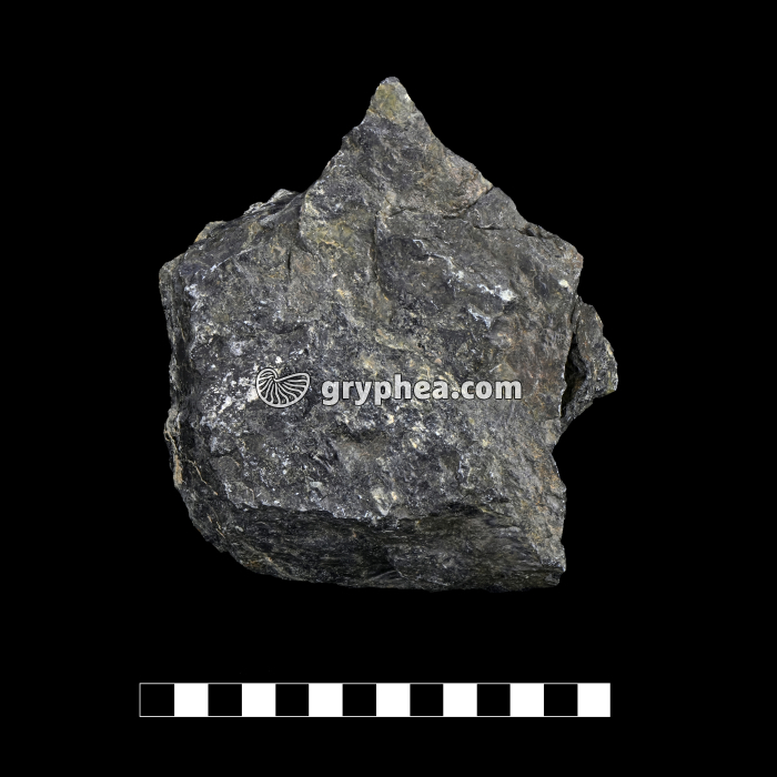 Péridotite - échantillon (Massif du Chenaillet, Alpes) - gryphea.com